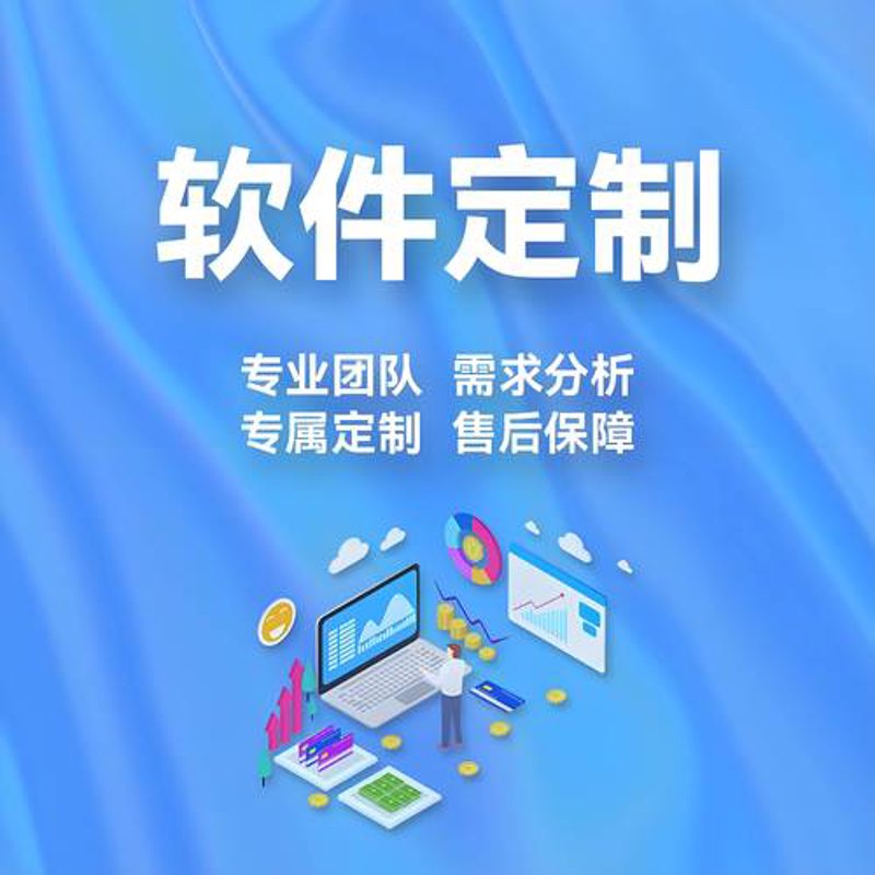 了解系统定制：让您的业务轻松升级